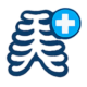 blue icon graphic of a rib cage to depict an x-ray