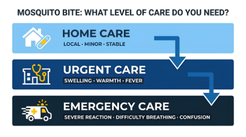 Mosquito bite care guide showing when to use home care, urgent care, or emergency care based on symptoms.